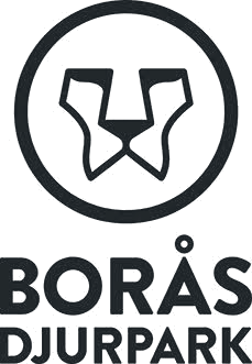 Borås Djurpark — kund hos InfraVivo